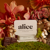 Alice Mushroom Brainstorm chocolate bar surrounded by functional mushrooms, highlighting ingredients for focus, clarity, and natural energy
