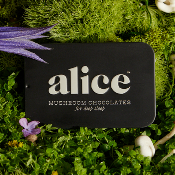 Alice Mushroom Chocolates: Nightcap for Sleep