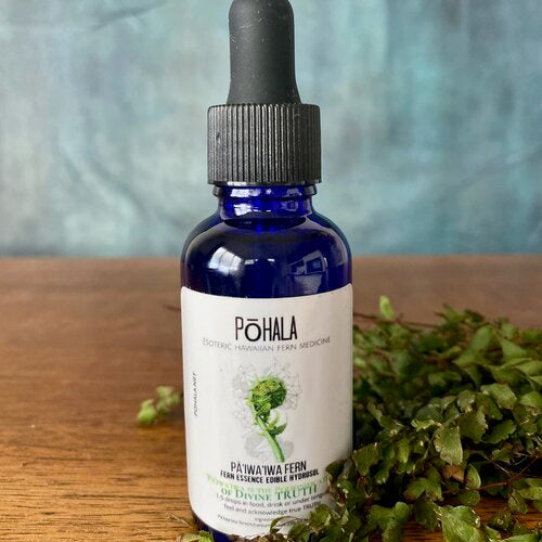 Pa'iwa'iwa Fern Edible Hydrosol for Divine Truth
